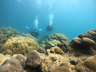 Mysore Scuba