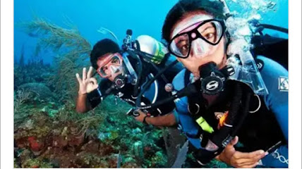 Lara Scuba Diving And Tourist Guide In Malvan Tarkarli