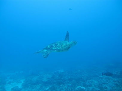Eshwari Scuba Diving