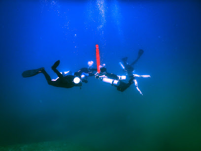 Salty Bone Divers