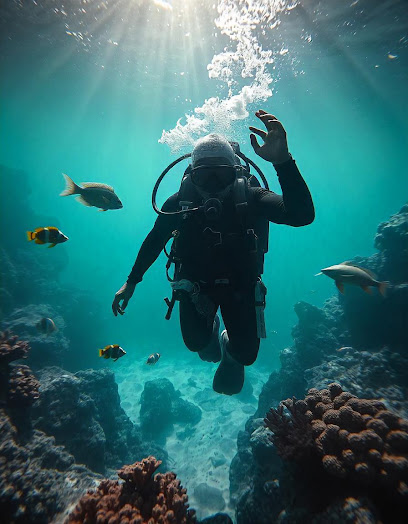 Scuba Divein World