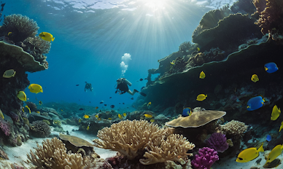 Scuba Diving Club Goa