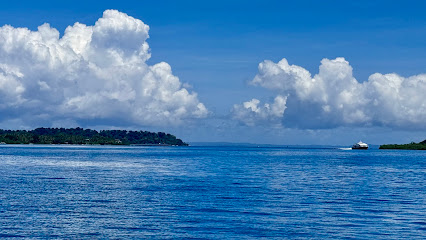 Lacadives | Best Scuba Diving in India