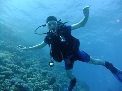 Scuba Diving in Tarkarli