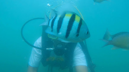 Chintamani SCUBA Diving