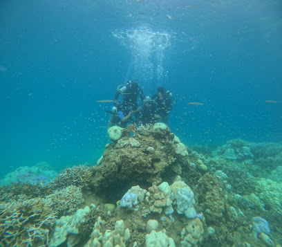 Scuba Divein