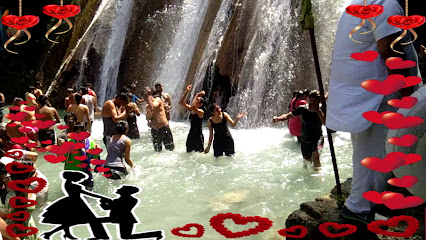 Tyagi Tour And Travels Piran Kaliyar