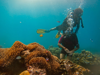 Seahawks SCUBA | Scuba diving in Havelock | Scuba diving in Andaman
