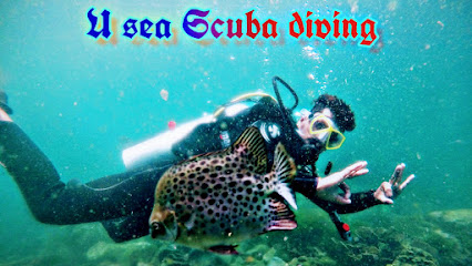 U Sea Scuba Diving Malvan Tarkarli water sports