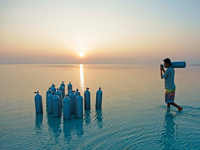 DIVE India - Scuba resort | Best scuba diving in Neil Island, Andaman
