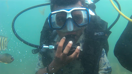 Scuba Diving in Malvan