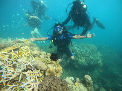 Havelock Divers