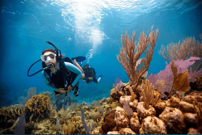 The Fearless Diving India Centre