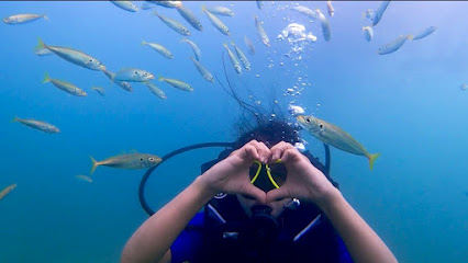 Discovery scuba