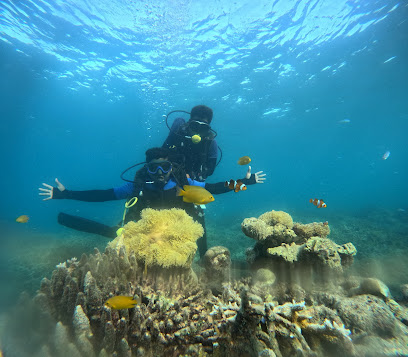 Nemo Divers India