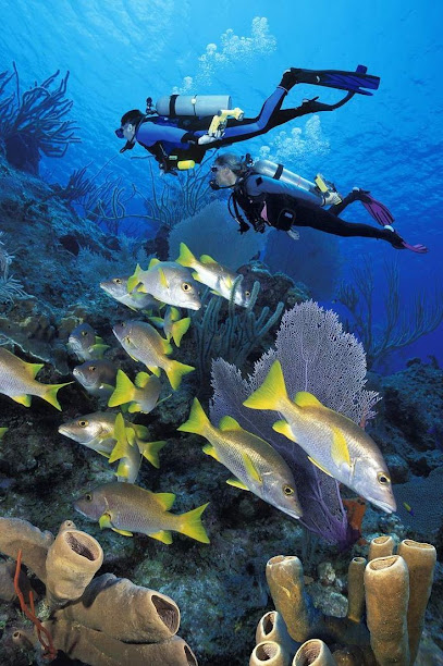 Blue World Scubadiving Malvan & Tarkarli