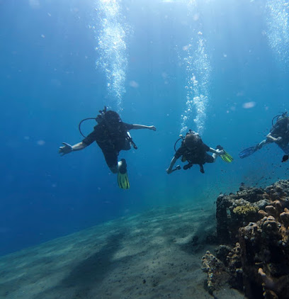 Bali Reef Divers - Amed