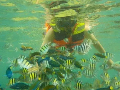 Wisata Travel