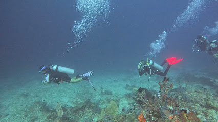 Dive Spot 3
