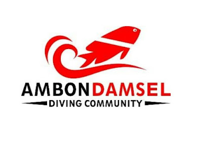 AMBON DAMSEL ( DIVING COMMUNITY )