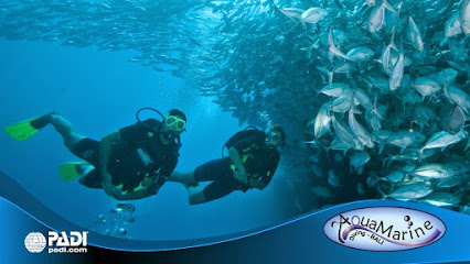 AquaMarine Diving - Bali