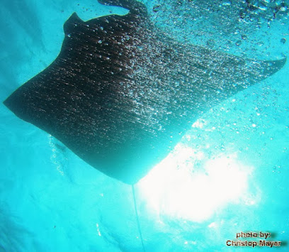 Amed Dive Center