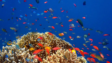 FUNFUN DIVE CENTER