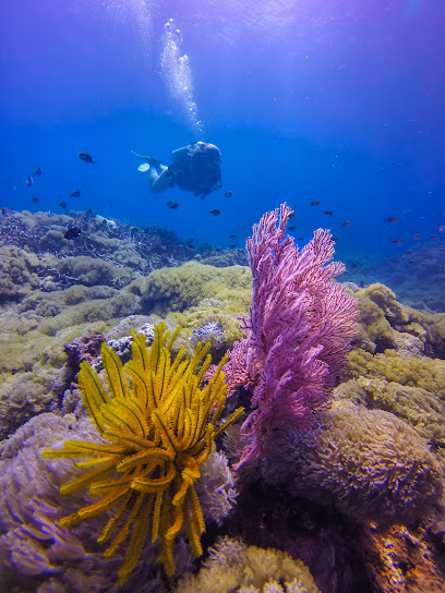 KHATULISTIWA Dive Centre