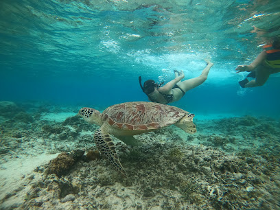 Longi snorkeling trip