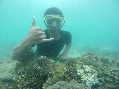 Gili Ketapang DEWA snorkeling