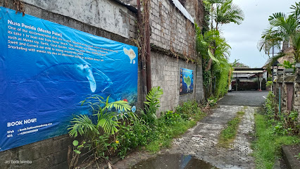 Bali Marine Diving