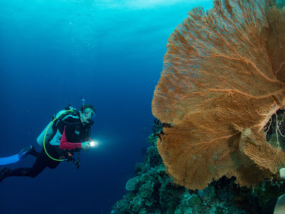 Wakatobi Diving Holiday