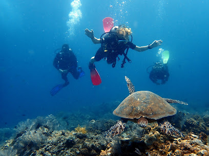 No Fear Diving Amed Bali (deutsche PADI Tauchschule)