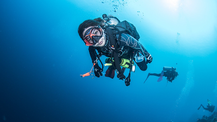 Indonesia Dive Safaris