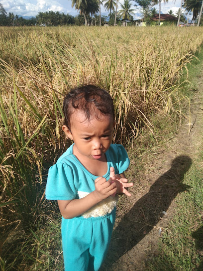 Pasir Putih