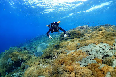 Nusa Scuba Diver