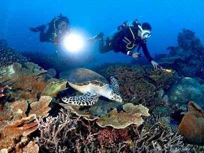 CN DIVE KOMODO