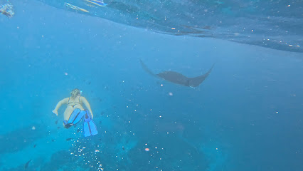Sea Adventure Lembongan