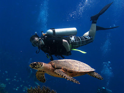 PRO DIVE Bali
