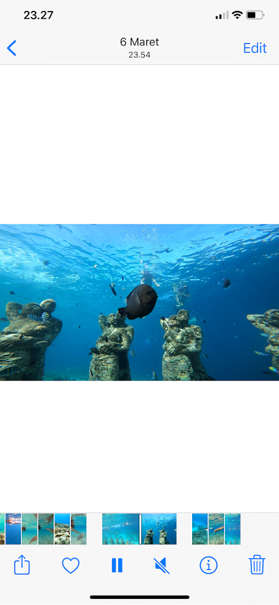 Snorkeling tour organizer