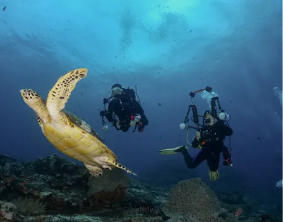 BALI NICE DIVING