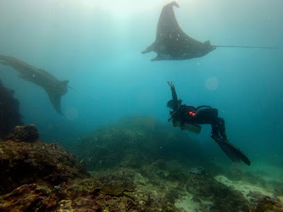 Bali Dive Safaris