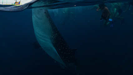 Sumbawa scuba diving