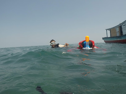 spot snorkeling