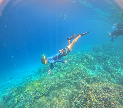 Snorkeling Menjangan