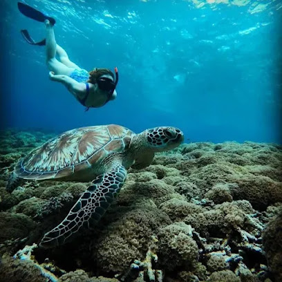 SNORKELING RECOMMENDED