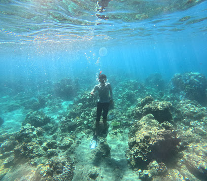Alex boat trip & snorkleling guide
