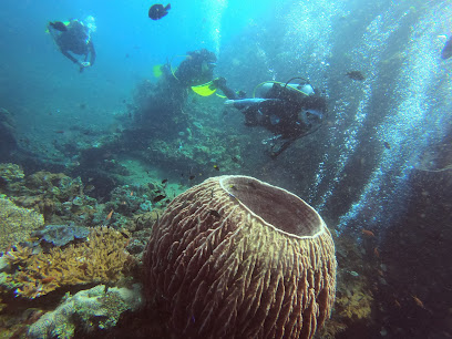 Bali Marine Sports (BMS)