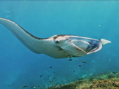 SALTY PENIDA SNORKELING