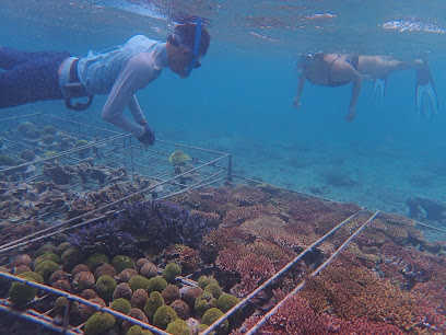 Nuansa Pulau Snorkling